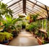 Pangda Polycarbonate Greenhouse Panel UV Protection Weather-3