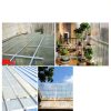 Polycarbonate Greenhouse Covering Plastic Panels DIY-2