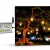 Adust 1500W Wireless Dimmer Controller-5
