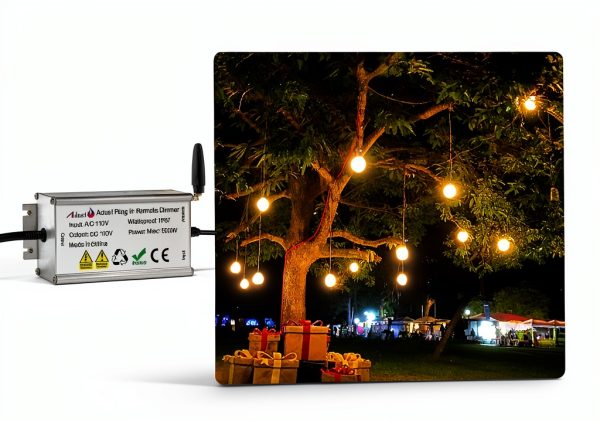 Adust 1500W Wireless Dimmer Controller-5